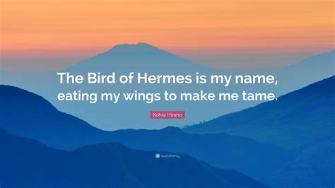 the bird of hermes is my name eating wings.